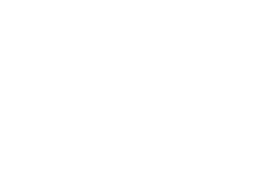 Viajamos contigo